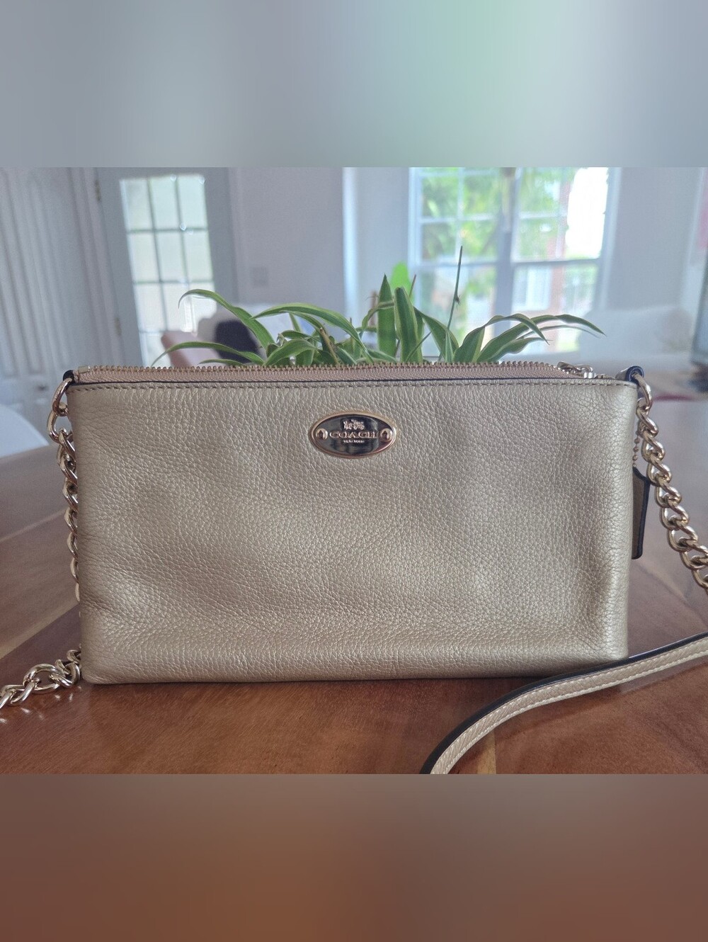 Coach Gold Clutch